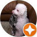 Vicki H. profile picture