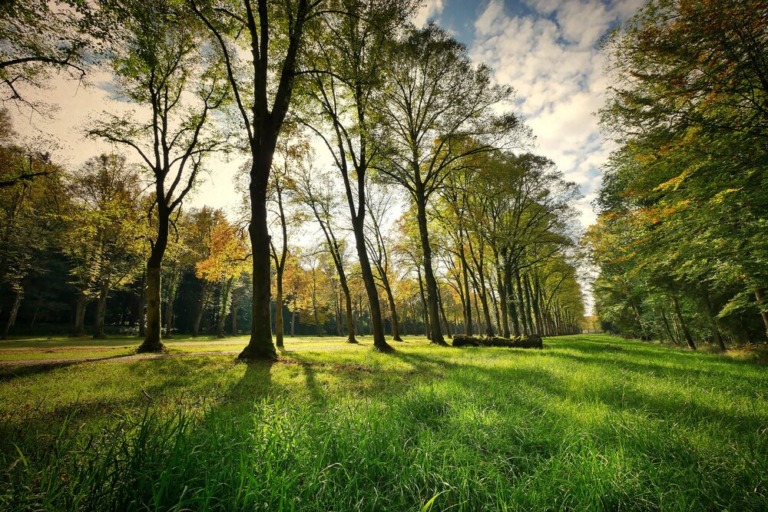 parco delle madonie cefalu