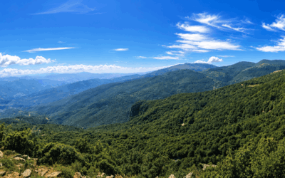 sfondo header parco delle madonie